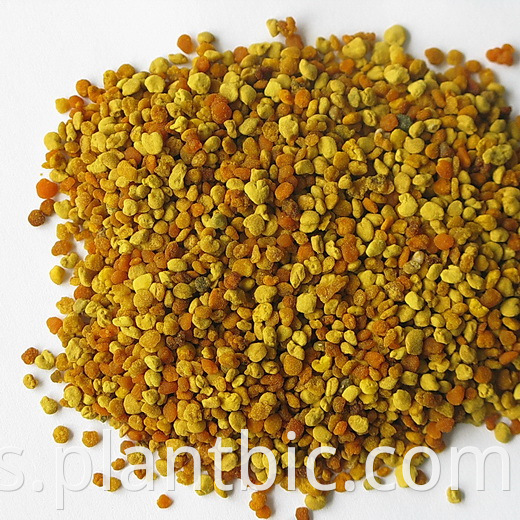 Abeja polen granular orgánico abeja polen granular